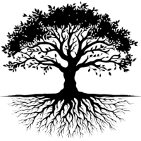 2025 - Fevereiro - Stories (7)